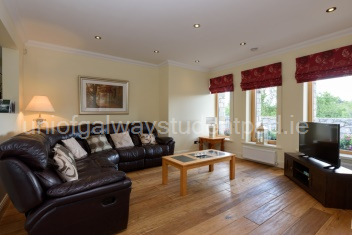 Spacious sitting-room