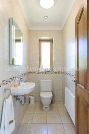 Downstairs toilet