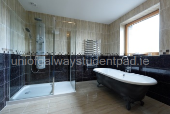 Modern luxury bathroom
