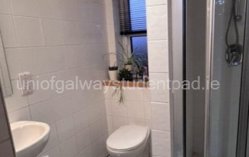 Ensuite shower room