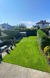 South facing rear garden 