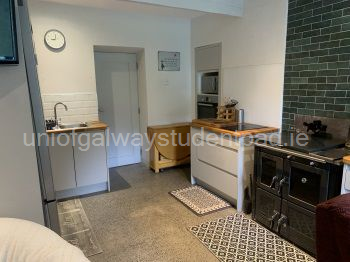 Double eclectic hob, double oven and microwave cooker.  This is the door that connects our house and it is locked