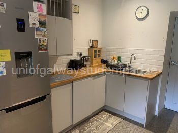 Kitchen area with fridge freezer, sink area with toaster and kettle