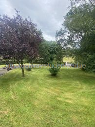 Drive and front garden