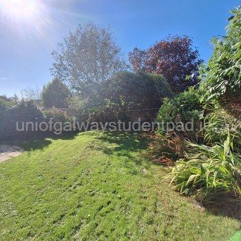 secluded rear garden