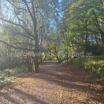 barna woods-15 minutes stroll away